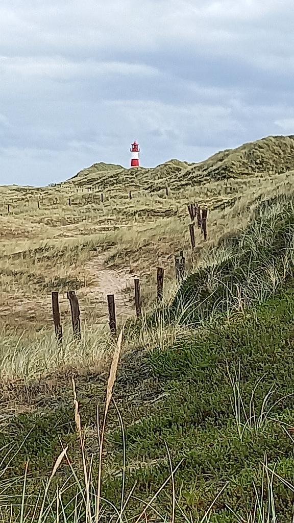 Sylt (183)